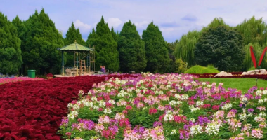 Luquan District, Shijiazhuang: Autumn Charm and Blossoms Paint a Romantic Scene_fororder_2