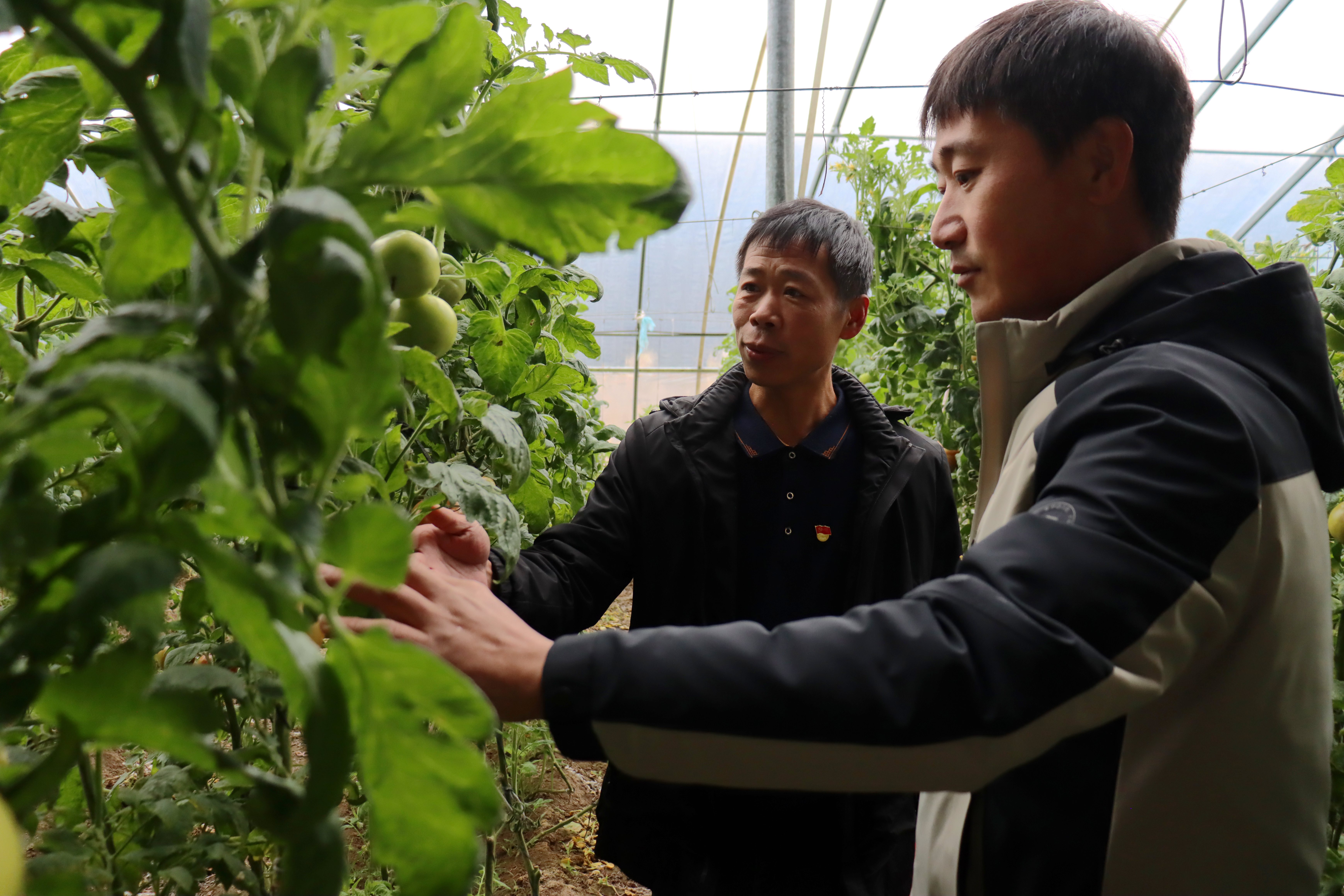 河北献县：田间地头上党课 振兴一线砺初心_fororder_image003