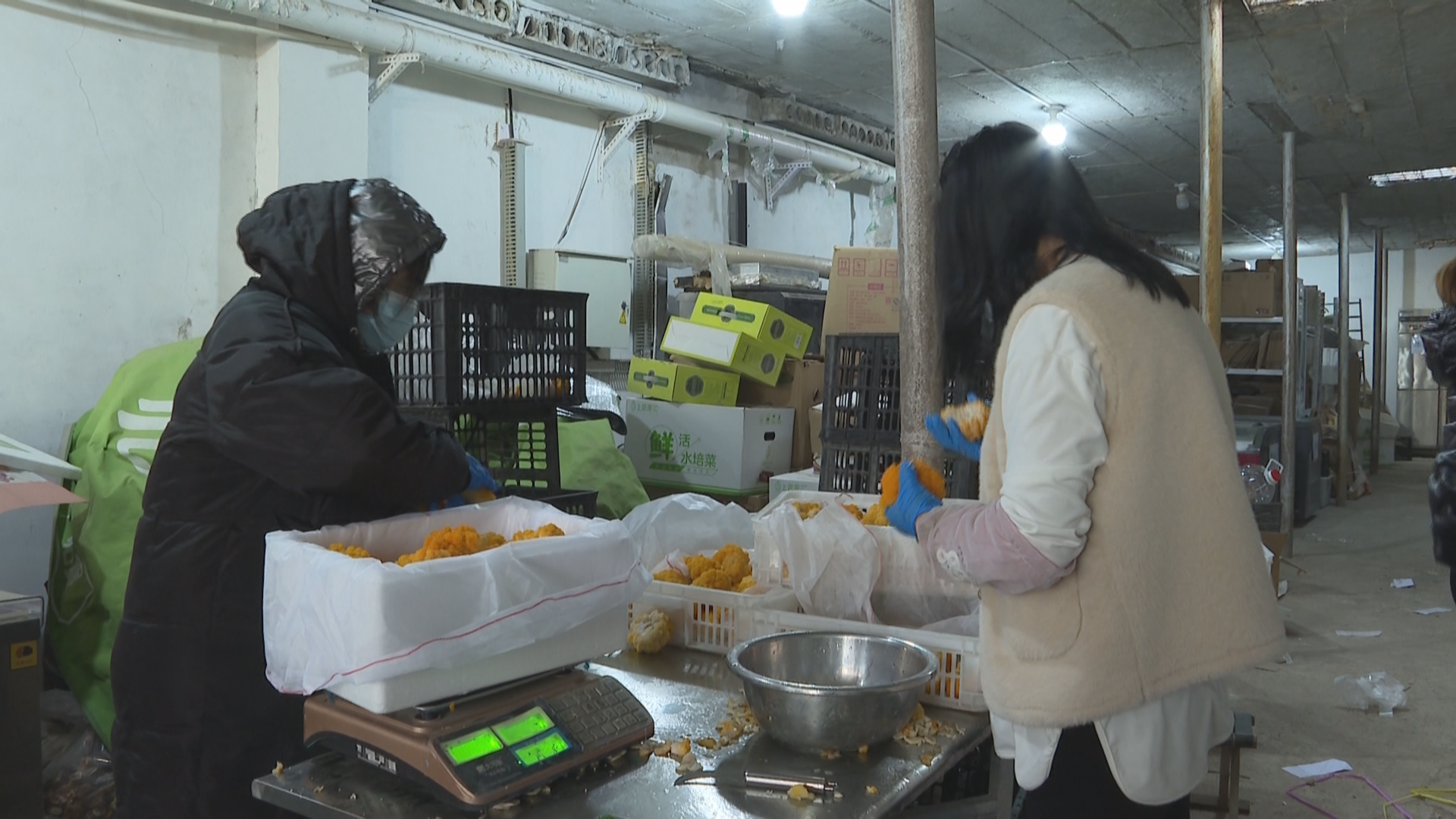 石家庄市鹿泉区：集装箱变身“四季农场”_fororder_image007