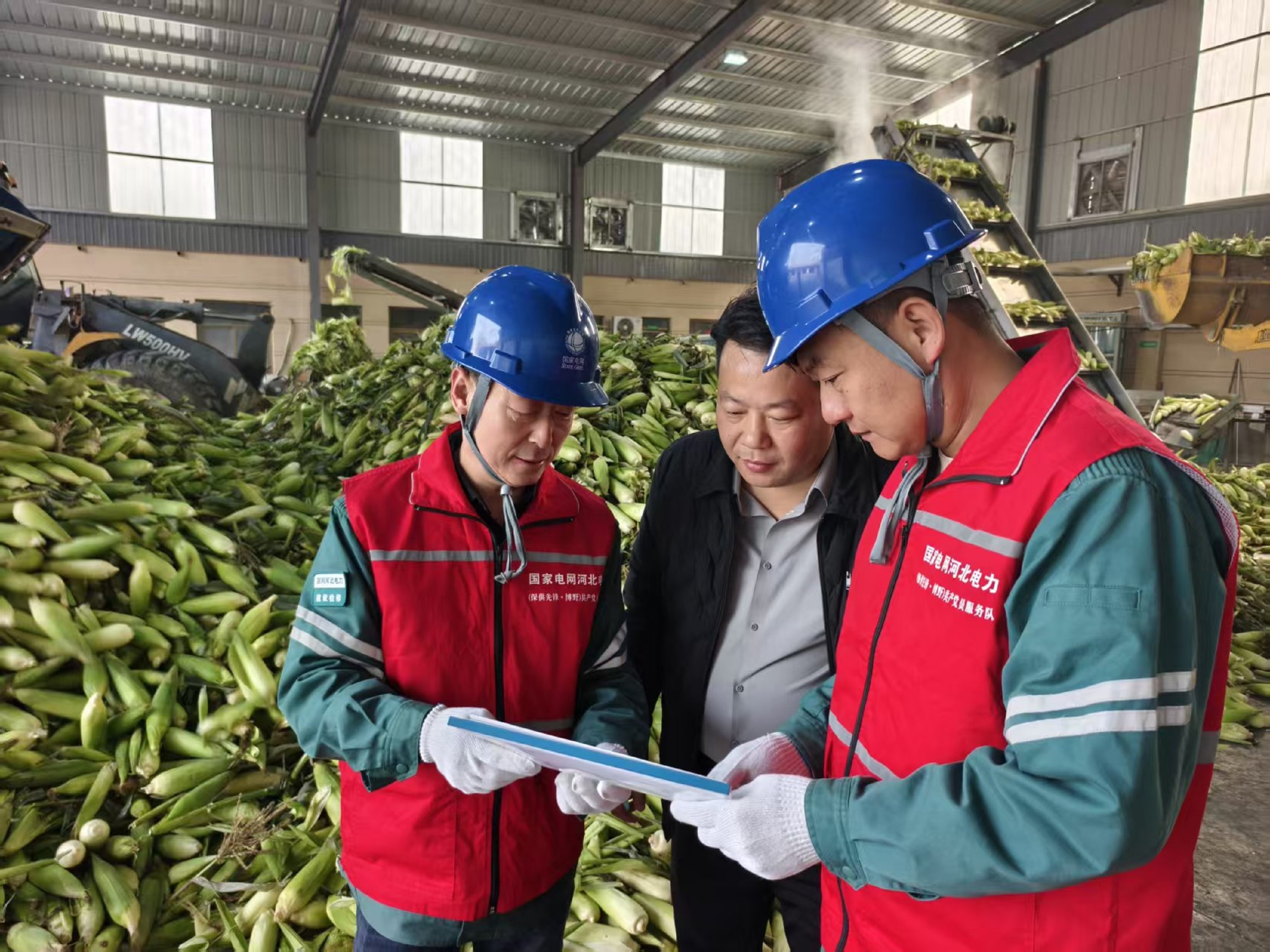 图片默认标题_fororder_1