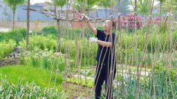 河北东光：传统农耕遇上共享经济 激活乡村振兴新动能