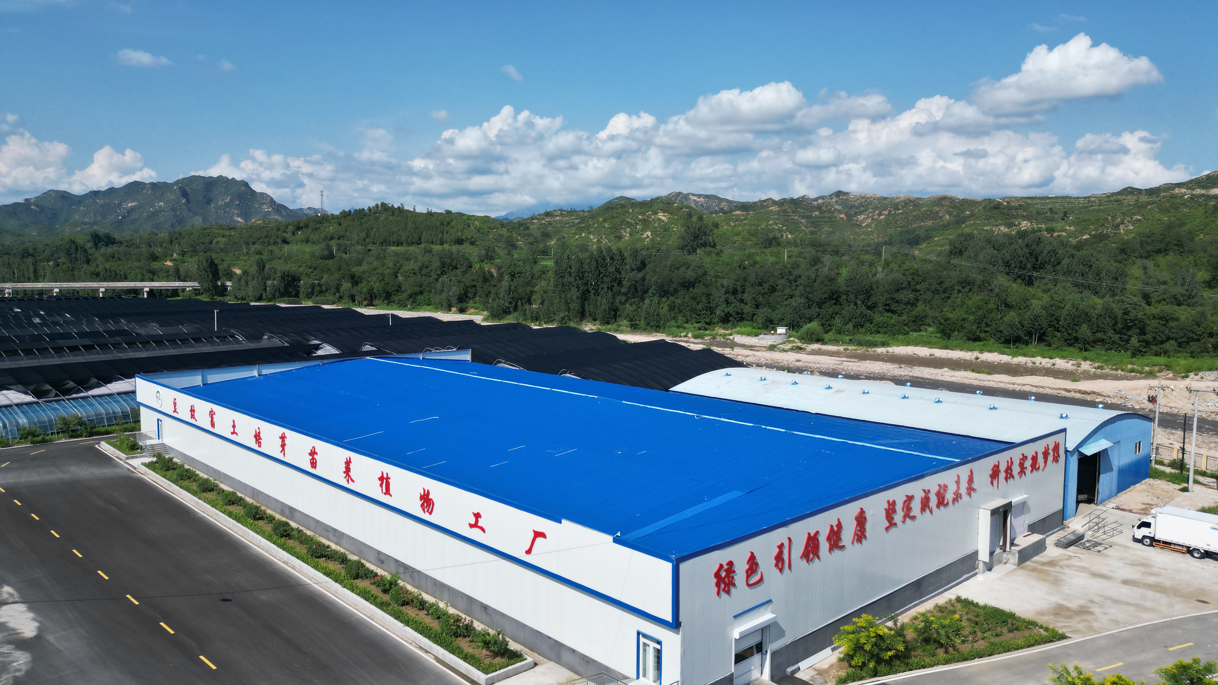 河北阜平：植物工厂解锁智慧农业“新密码”