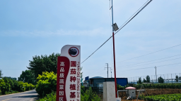 河北肃宁：智慧气象赋能特色农业提质增效