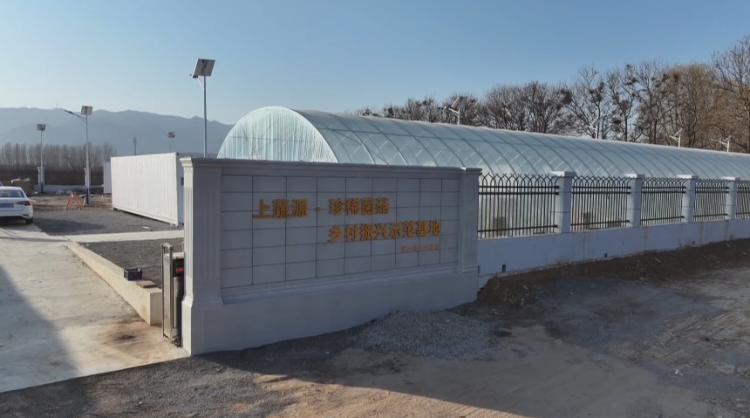 石家庄市鹿泉区：智慧方舱育菌菇 乡村联建促振兴_fororder_image003