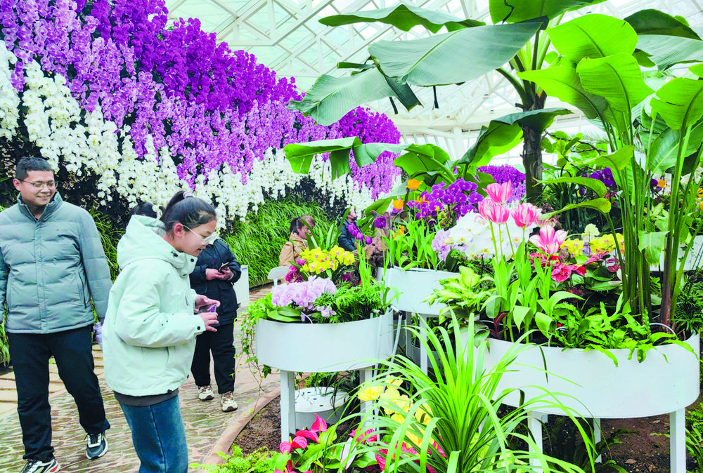 河北石家庄：花式过大年 欢乐闹新春