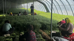 河北海兴：网络名人探访特色农业 网信赋能助乡村振兴