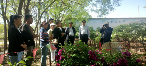 河北泊头：以花香为礼 邀“身边好人”共赴春日文明之约_fororder_河北泊头：以花香为礼 邀“身边好人”共赴春日文明之约436