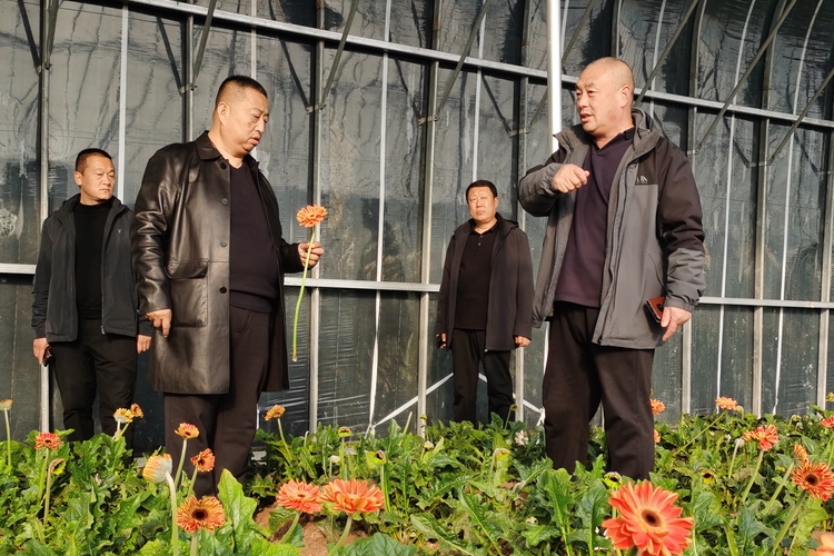 保定市徐水区:支部引领拓新路 合作社里合作忙