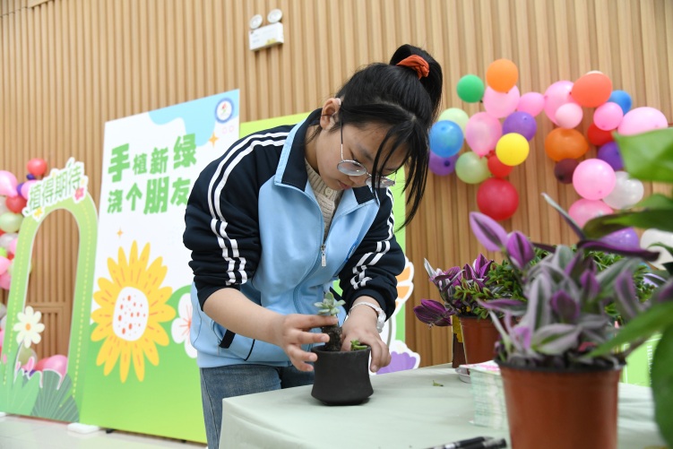 河北承德：绿意萌动 特殊孩子种下希望_fororder_图为承德市特殊教育学校启音学生正在栽种绿植 张雨樵 摄.JPG