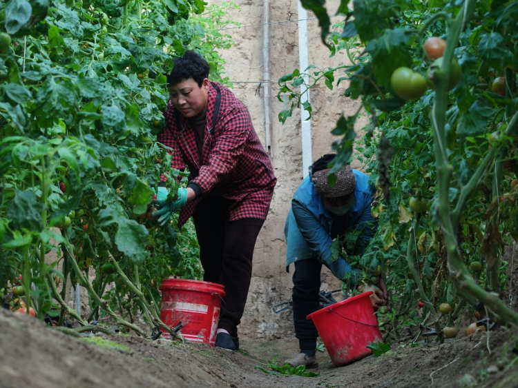 图片默认标题_fororder_图片 3