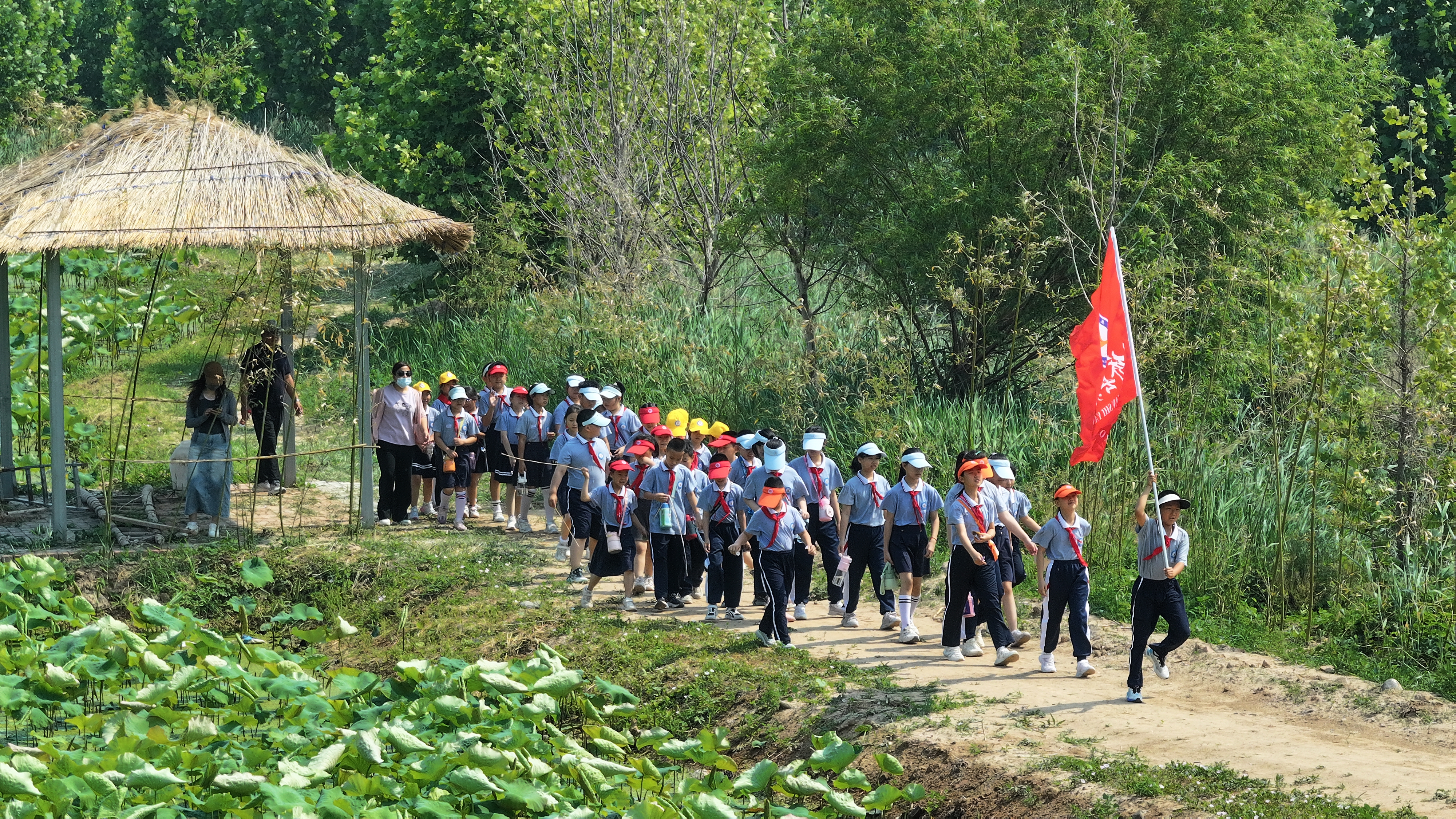 河北吴桥：乡村研学育童心 田园课堂“乡”味浓_fororder_图片 3