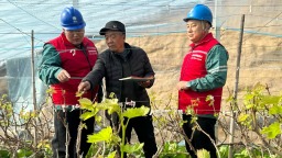 保定博野：电力护航暖棚区 保障群众“菜篮子”