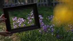 【组图】春日沧州景如画