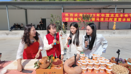 图片默认标题