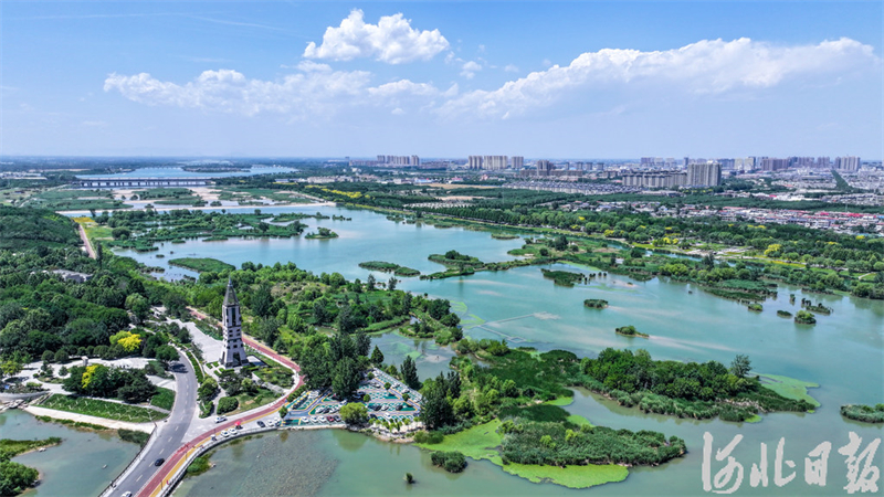 滹沱河畔夏意浓