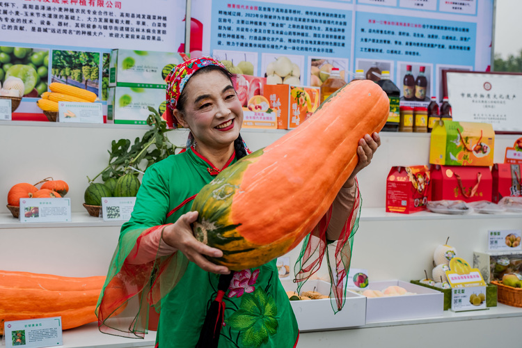 河北高阳：多彩活动喜庆中国农民丰收节