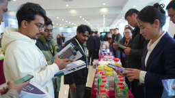 深化区域合作 共谋发展新篇  “RCEP成员国燕赵行”活动在河北鸡泽成功举办