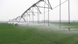 河北顺平：节水灌溉护苗壮 科技赋能助丰收
