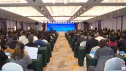 河北曲阳：以会为媒联四海 刀笔生辉谱新章