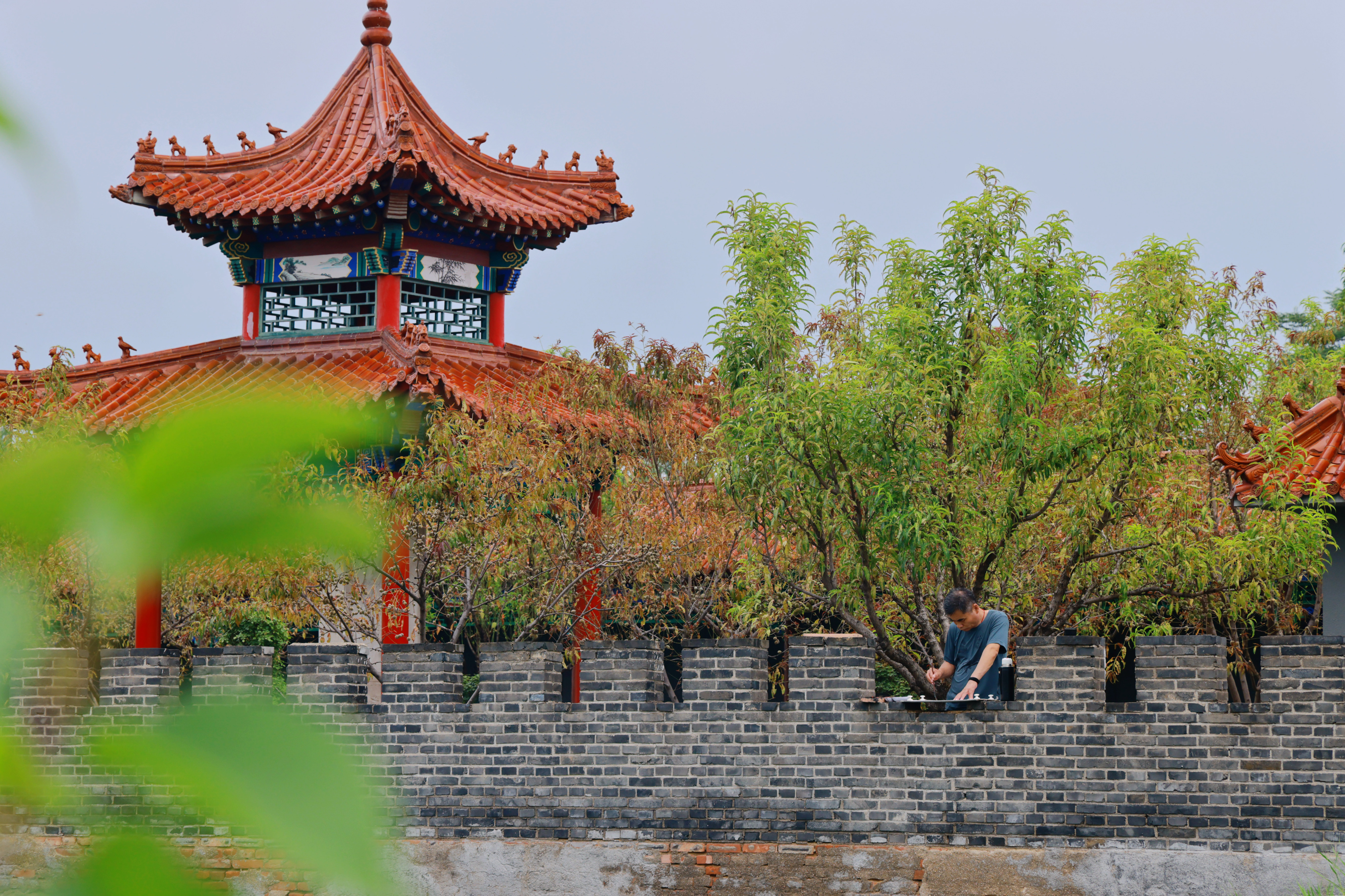 河北沧州：深耕运河文化 描绘运河新貌_fororder_图片1