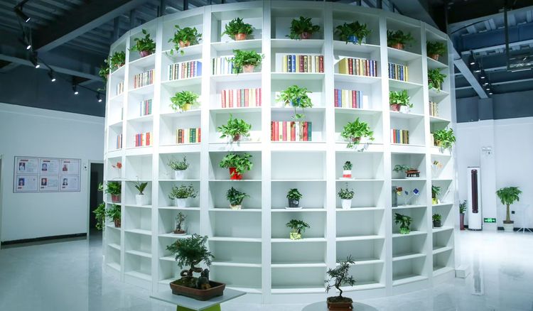 石家庄市栾城区：中辉创业孵化基地优化升级 助力创业者腾飞