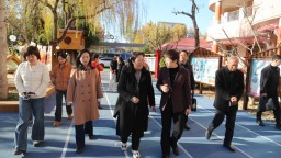 顺平县教育代表团赴青年路幼儿园调研交流