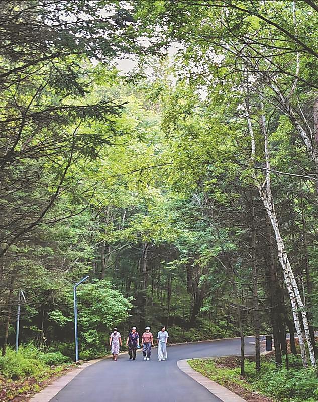 伊春：夏季旅游的爆火密码
