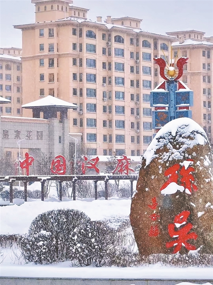 春雪满空 大美龙江_fororder_4
