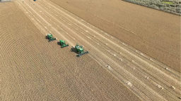 向“深”而行：黑龙江省农产品加工价值链攀升新高度