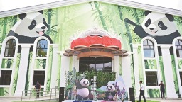 熊猫兄弟“芝士”“芝麻”入住太阳岛