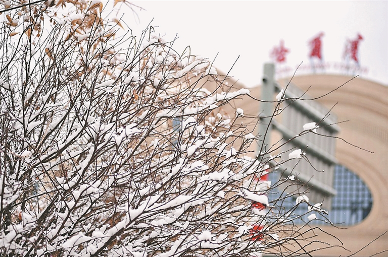 哈尔滨：雪后冰城美