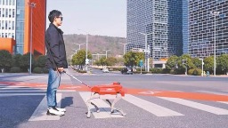 哈工大研制智能导盲犬 能智能避障 语音交换