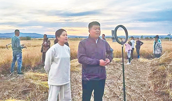 龙江学子 青春之花绽放在基层沃土