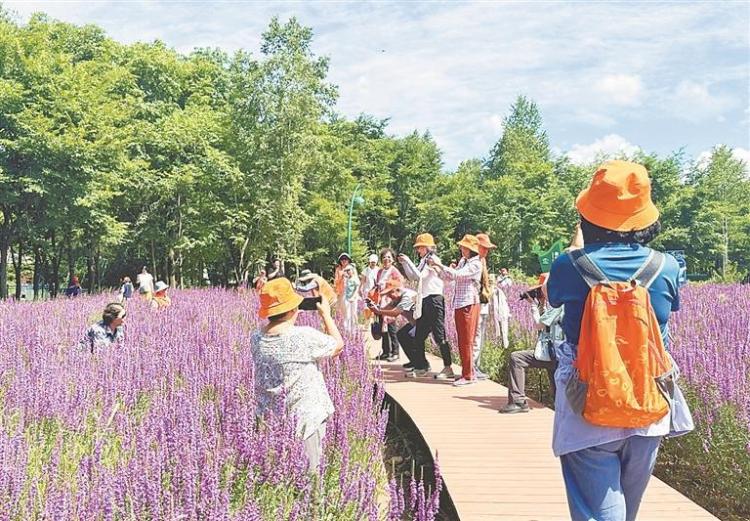 伊春：夏季旅游的爆火密码