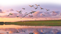 黑龙江：让发展底色更绿更靓丽