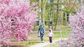 繁花似锦 扮靓鹤城
