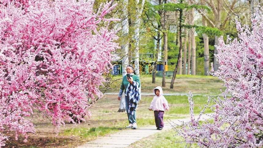 繁花似锦 扮靓鹤城