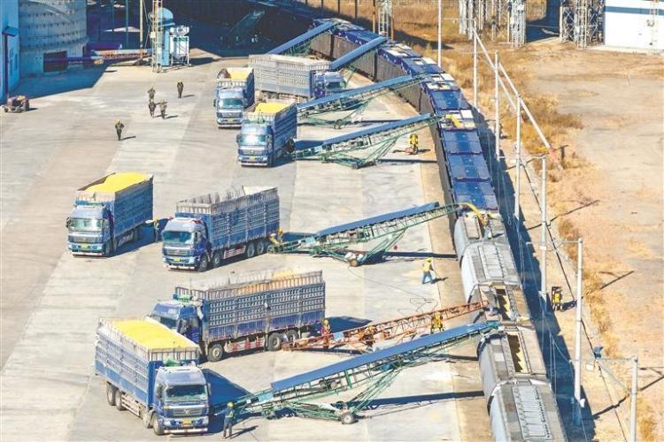 “北粮南运”正当时