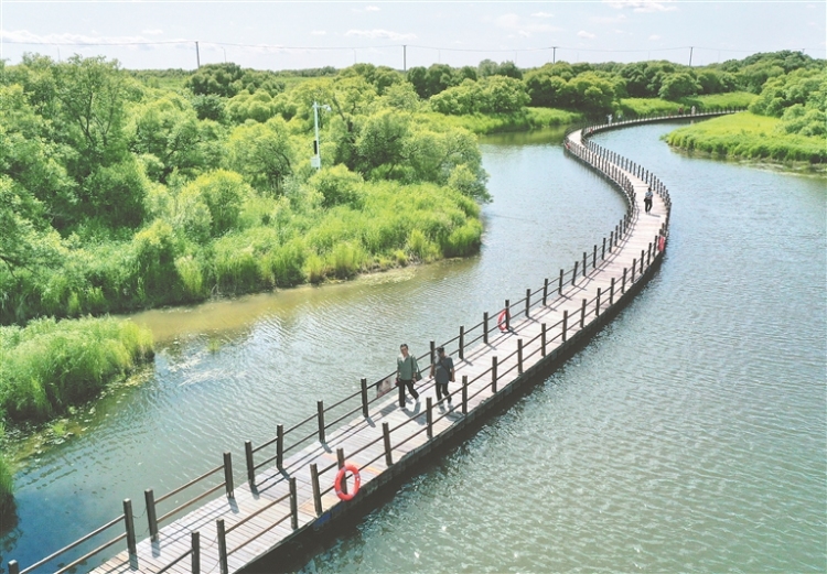黑瞎子岛湿地风光如画