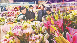 多元业态齐发力 假日消费暖意融