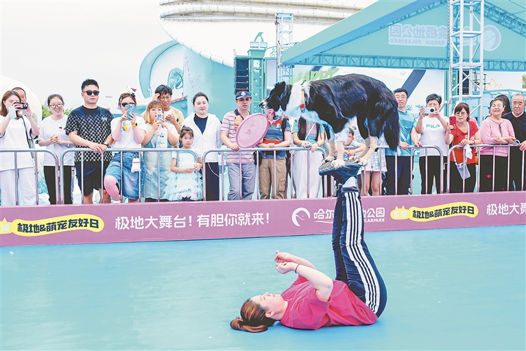 哈尔滨极地公园开启首届“极地·萌宠友好日”