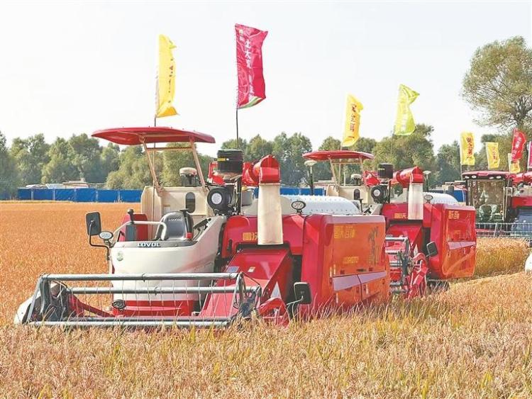 黑龙江：丰饶黑土 欢庆丰收