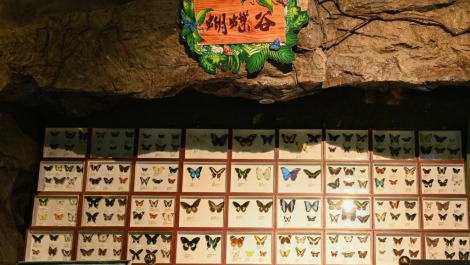 哈尔滨高校博物馆里掀起研学热