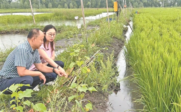 寒地小龙虾“游”出致富新路径