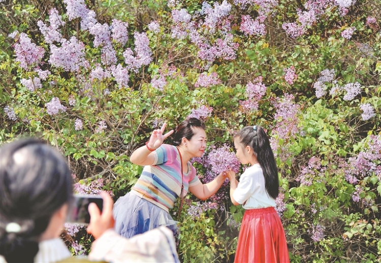 陪妈妈去赏花
