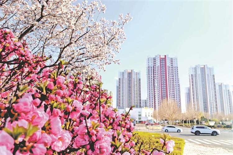 繁花似锦 扮靓鹤城