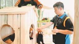 来极地公园打卡小熊猫体验馆