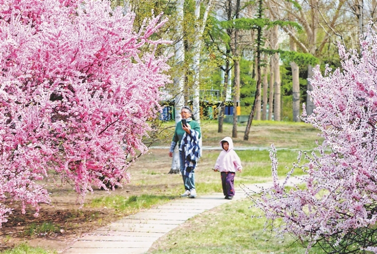 繁花似锦 扮靓鹤城