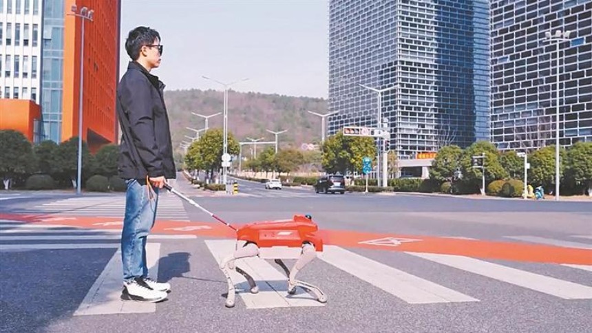 哈工大研制智能导盲犬 能智能避障 语音交换