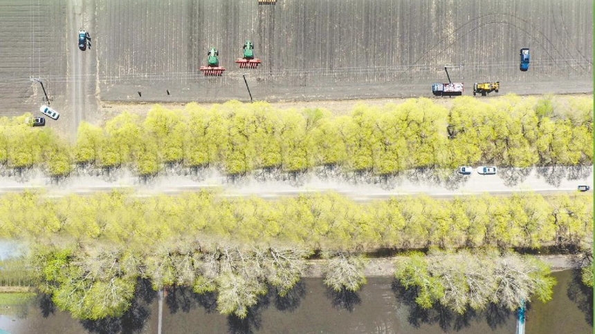 产粮大省黑龙江进入水陆齐耕关键期
